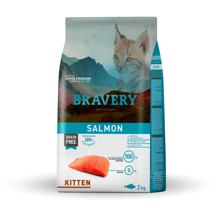 Bravery Salmon Kitten